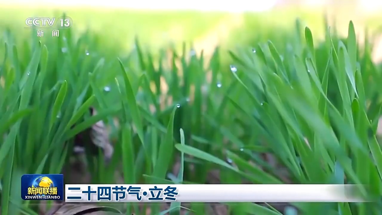 文化中国行丨二十四节气•立冬 领略大江南北冬日之美