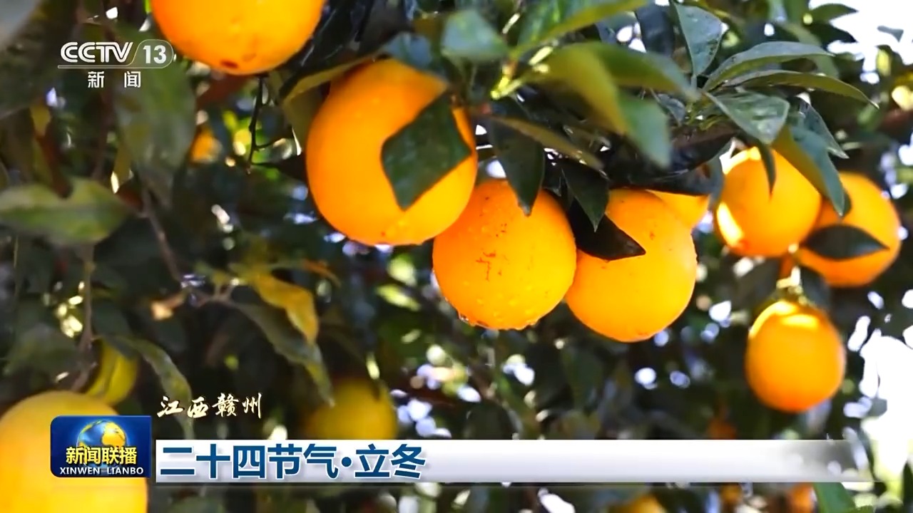 文化中国行丨二十四节气•立冬 领略大江南北冬日之美