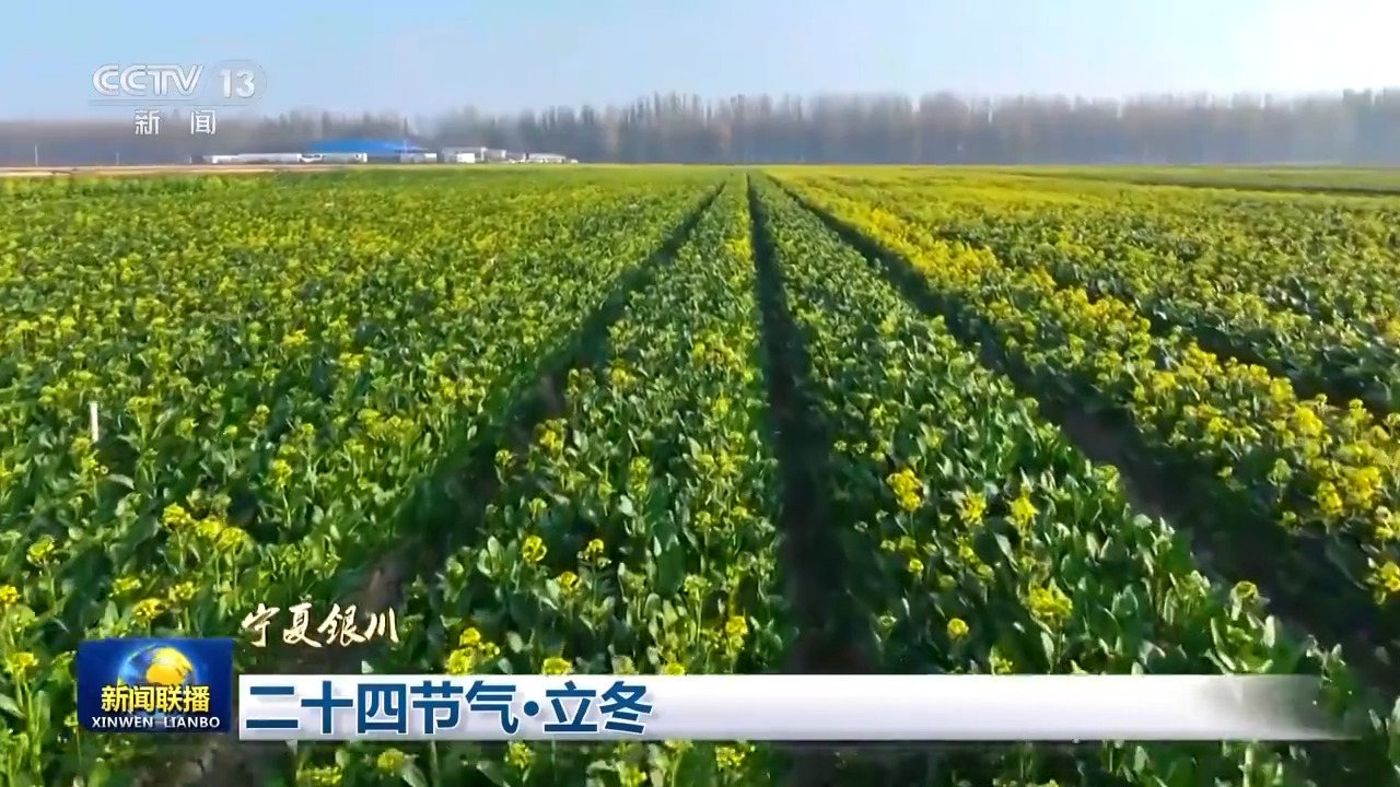 文化中国行丨二十四节气•立冬 领略大江南北冬日之美