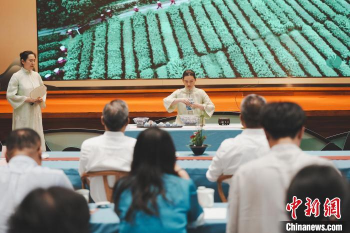 活动现场。　杭州西湖西溪管委会供图