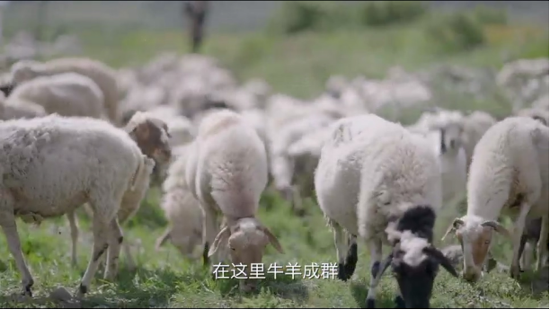 “光影力量”第五届西藏网络影像节投稿作品——幸福家园 美丽久河