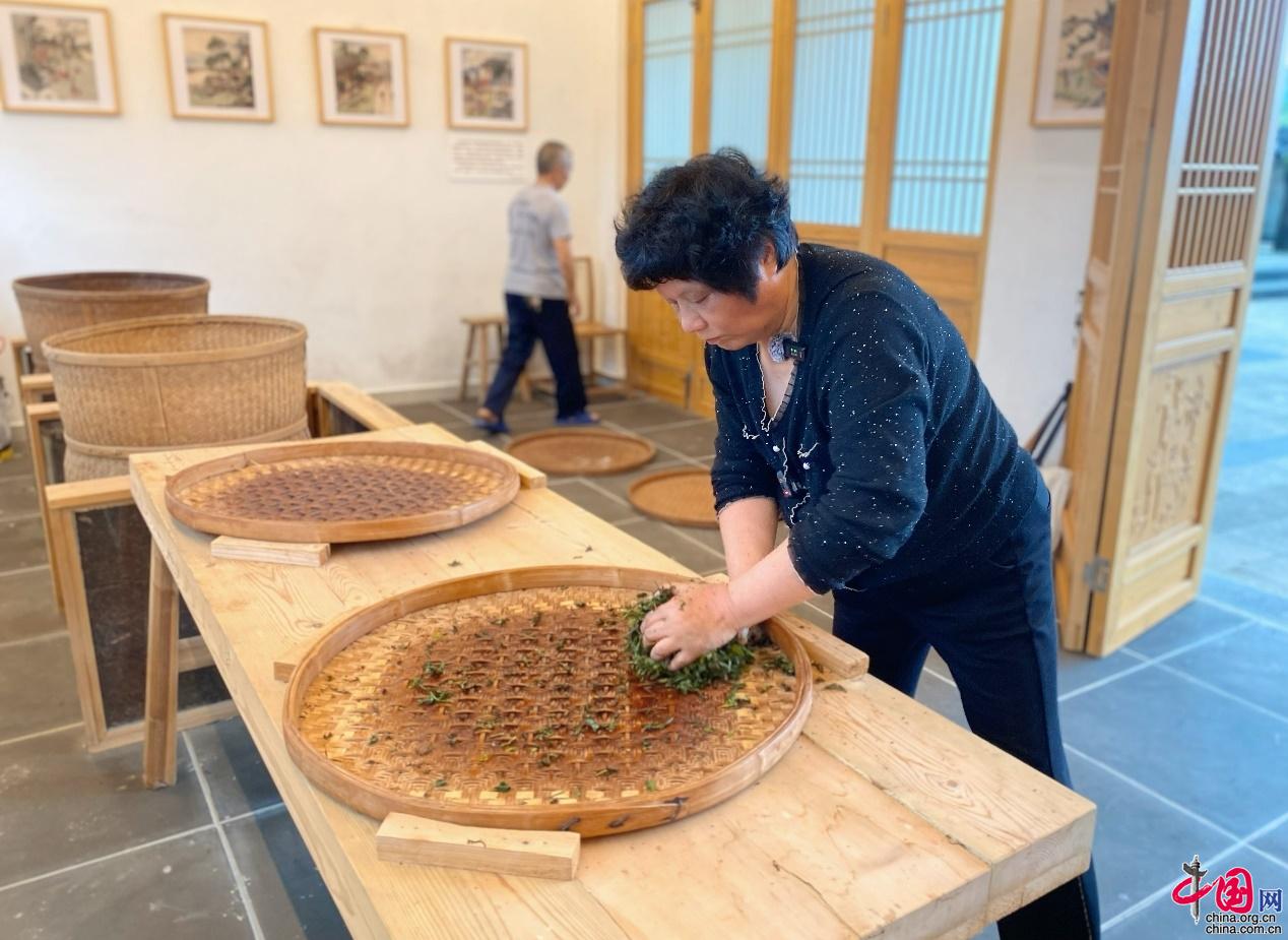 何以中国|武夷山茶乡：绿意茶园沁润文化馨香