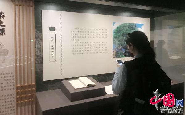 “茶和天下 典籍里的茶”在国图开展 《茶经》祖本亮相