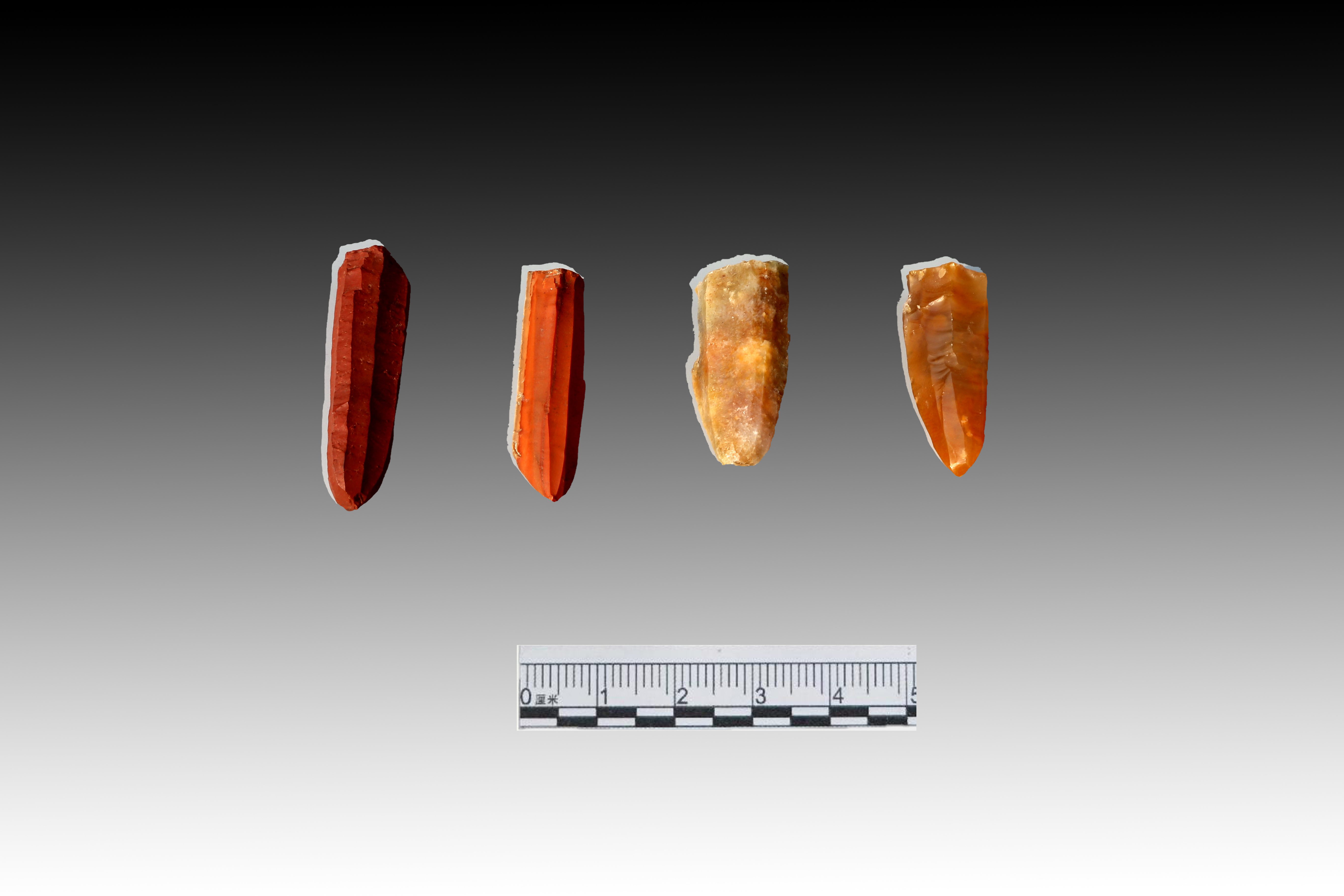 中国北方地区新石器考古实现重要突破（组图）