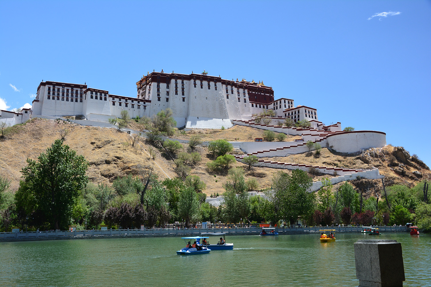 “光影力量”第五届西藏网络影像节投稿作品——与美丽高原不期而遇