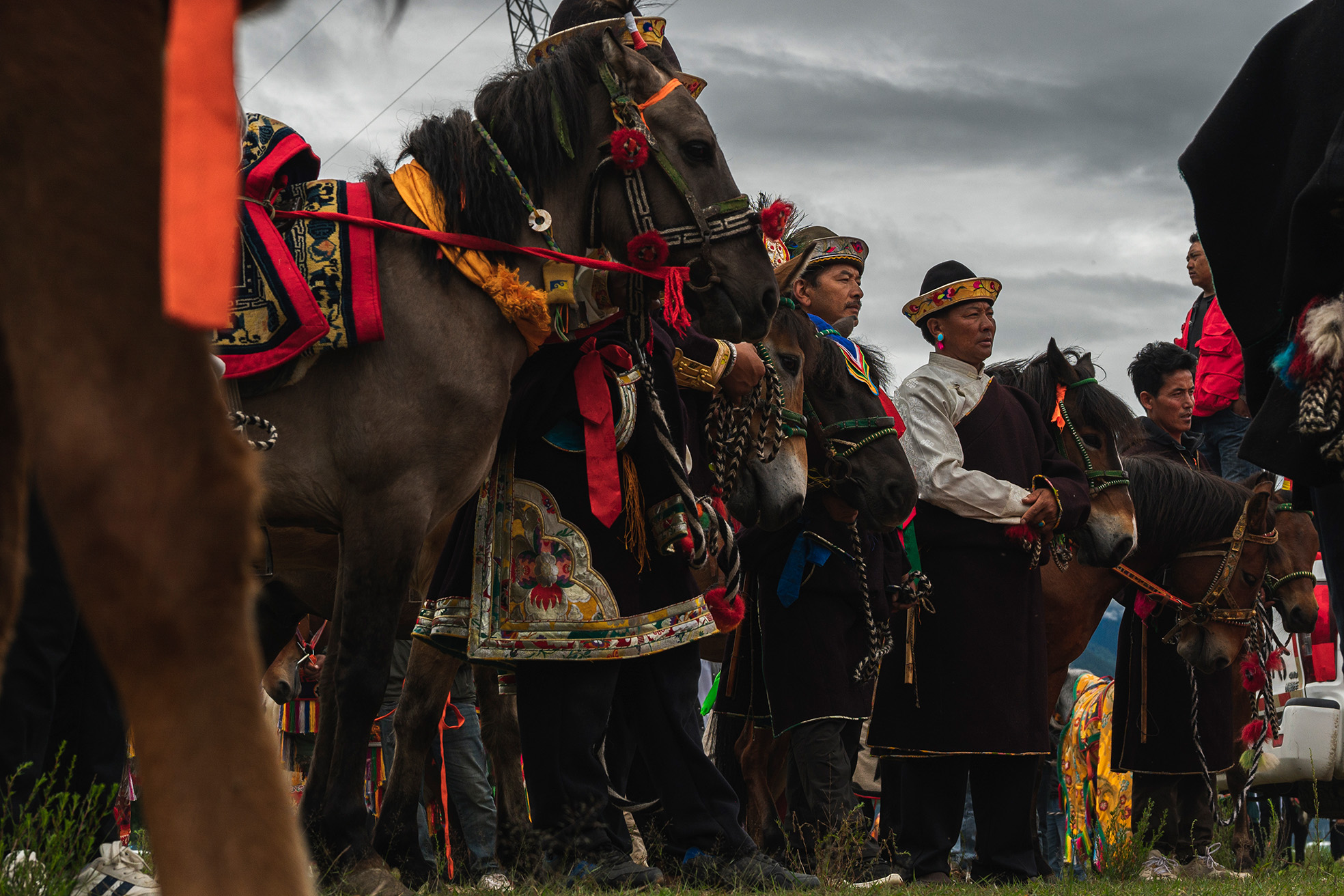 “光影力量”第五届西藏网络影像节投稿作品——与美丽高原不期而遇