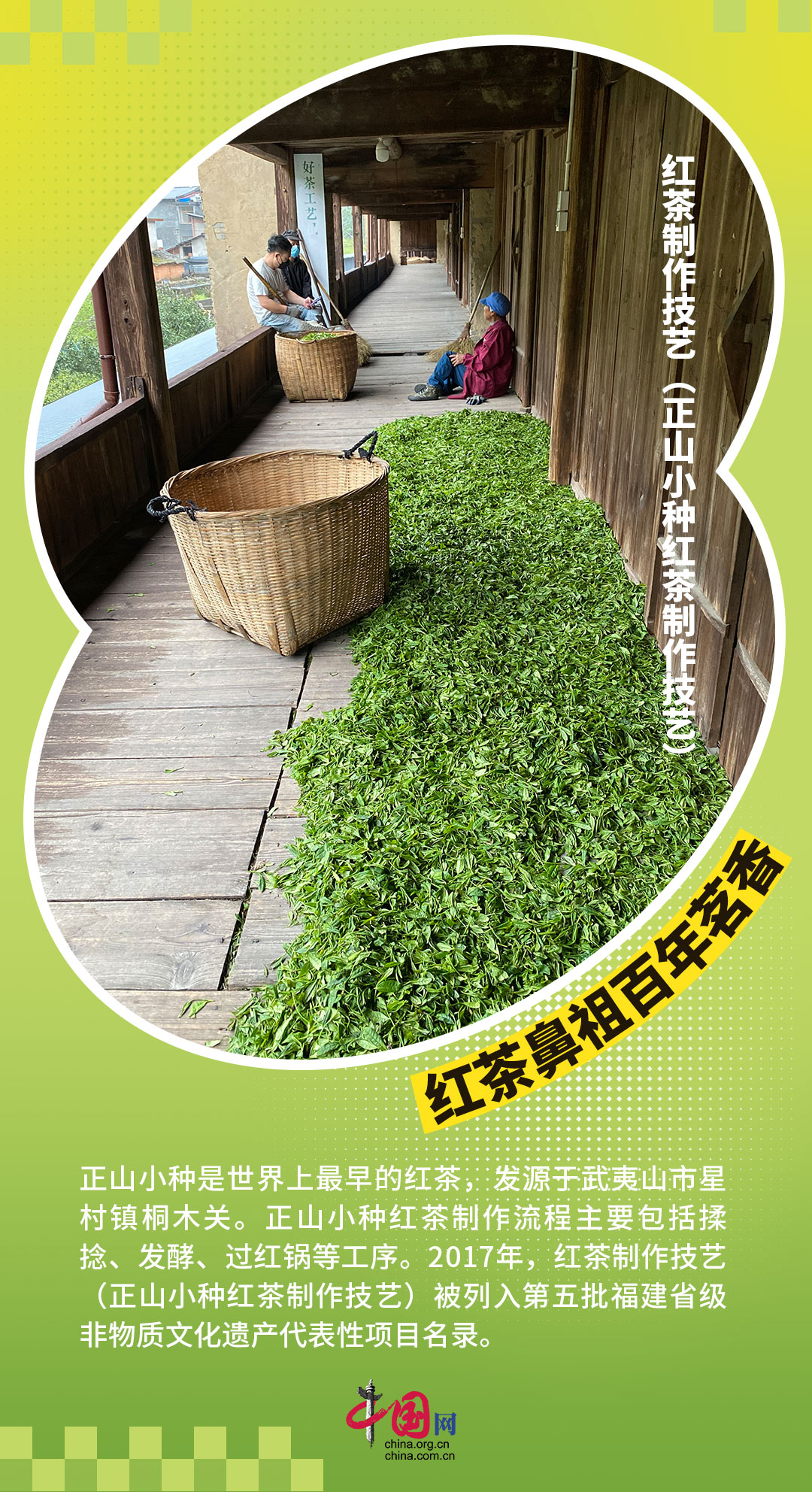 何以中国 | 福建武夷山：碧水丹山的文化名片