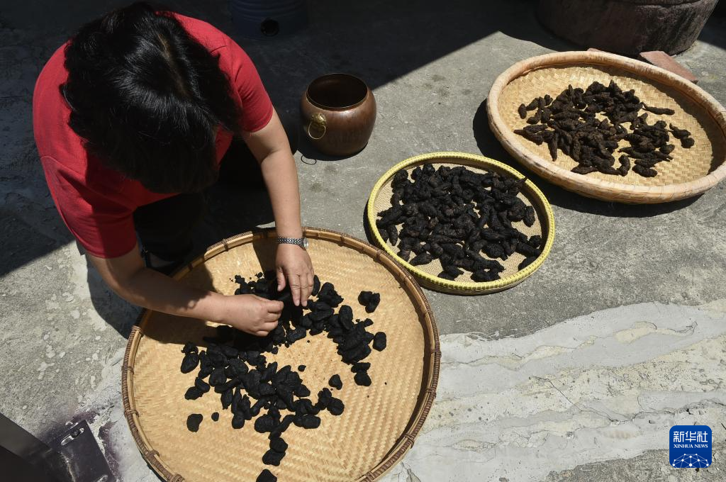 走进技艺传习馆 感受中药材加工