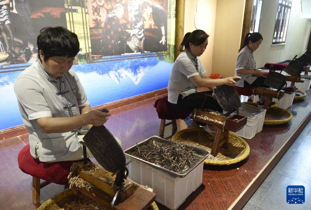 走进技艺传习馆 感受中药材加工