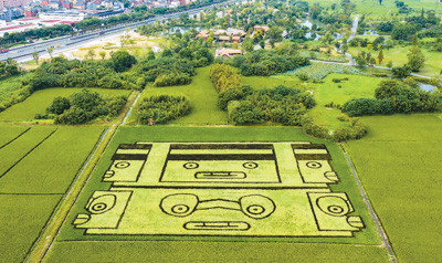 中华文明探源工程：勾勒中华文明起源形成发展图景