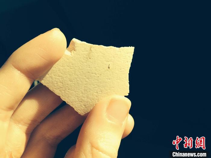 蛋壳化石研究新发现：已灭绝象鸟或有未知谱系