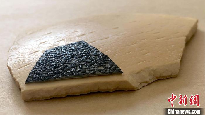 蛋壳化石研究新发现：已灭绝象鸟或有未知谱系