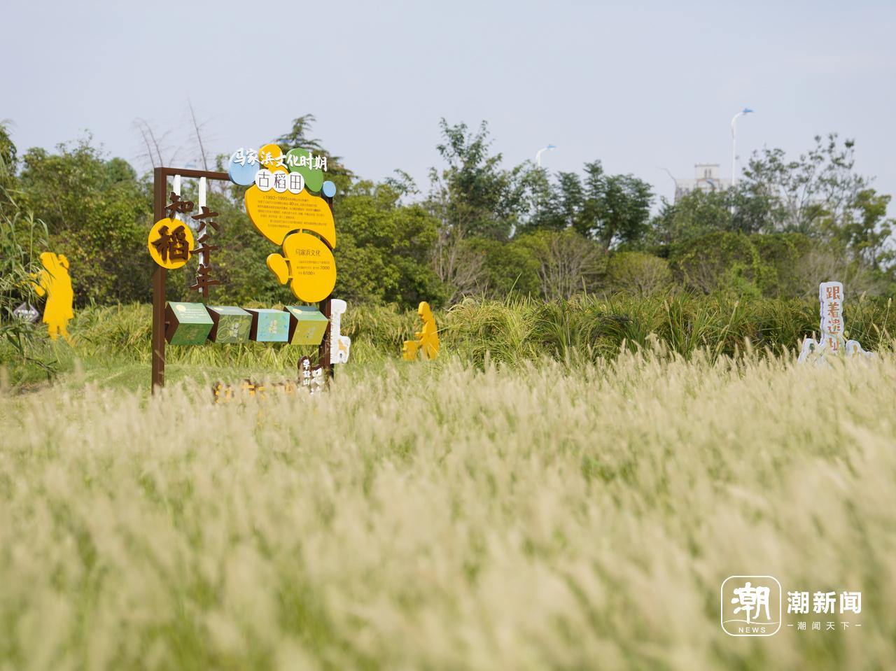 文化中国行•长江之歌丨5000多年前，长三角就有一个“朋友圈”