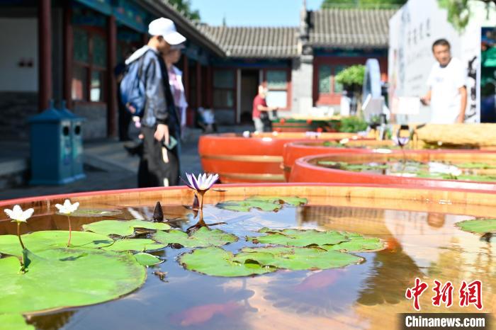 恭王府博物馆如何向海外阐释“中式生活美学”？