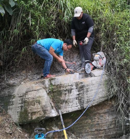 中国研究团队在广西首次发现约2.5亿年前大型鱼龙化石