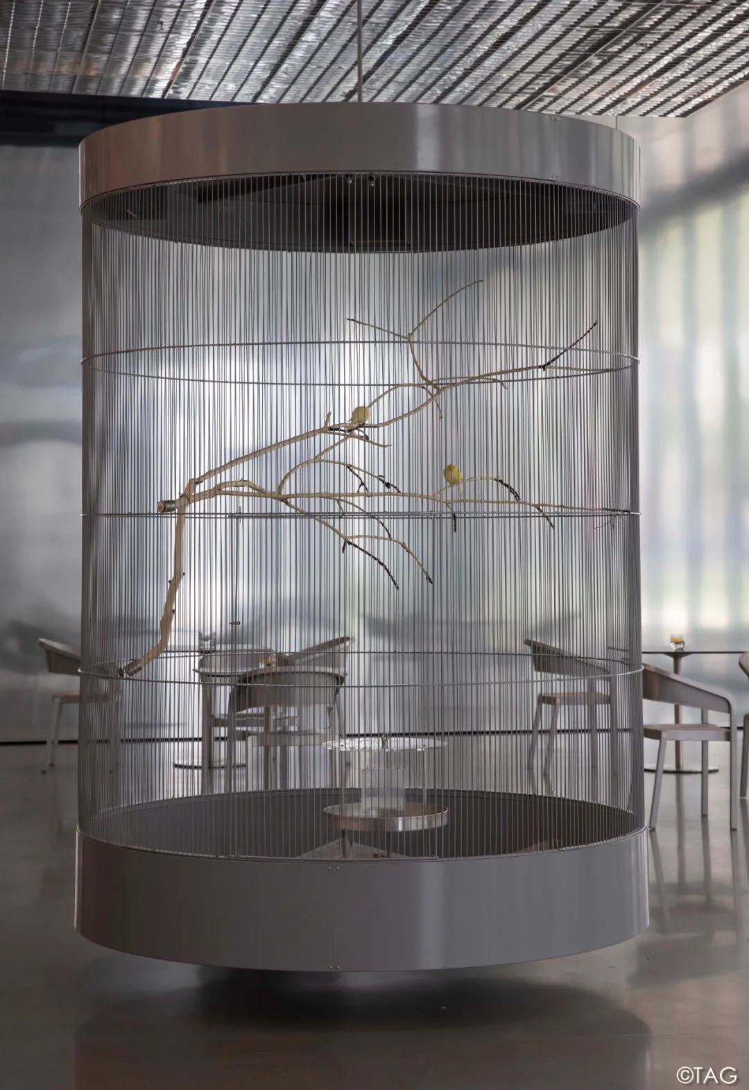 西海美术馆首展“超越”开启