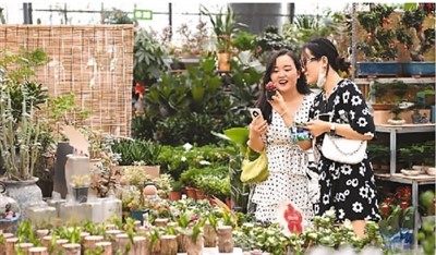 工业遗产：从沉睡到新生 实现保护利用双赢