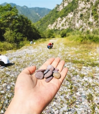 故宫御花园里的特别风景：1700余幅石子拼花路面
