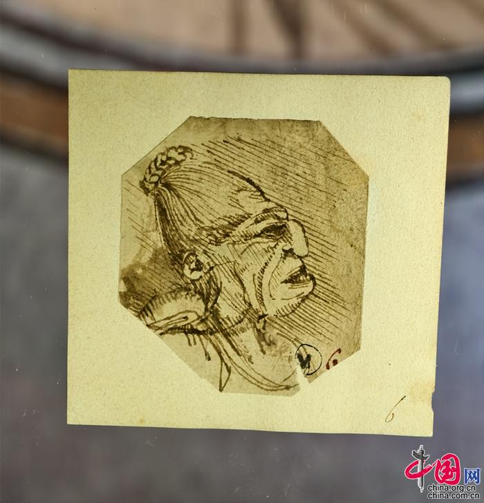 国家自然博物馆推出达·芬奇艺术科技与自然韵律展：在真迹手稿中探寻达·芬奇的秘密