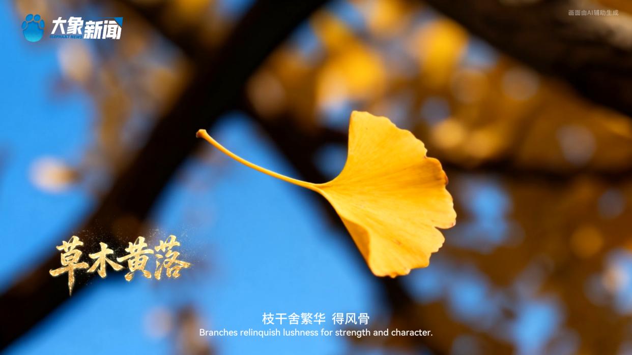 何以中国丨中国节气•霜降