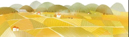 潘鲁生在上海调研：要做好传统工艺传承人的培养工作