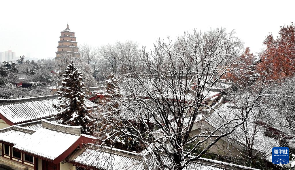 西安：大雁塔下千树白