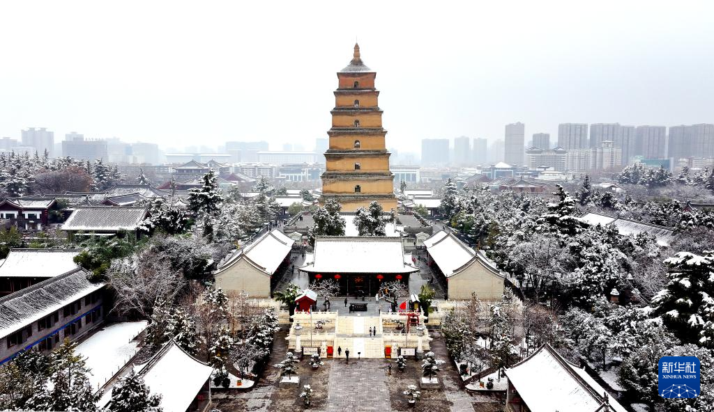 西安：大雁塔下千树白