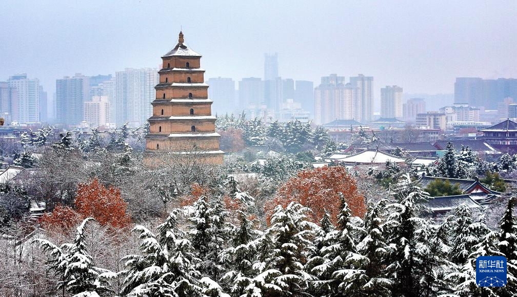 西安：大雁塔下千树白