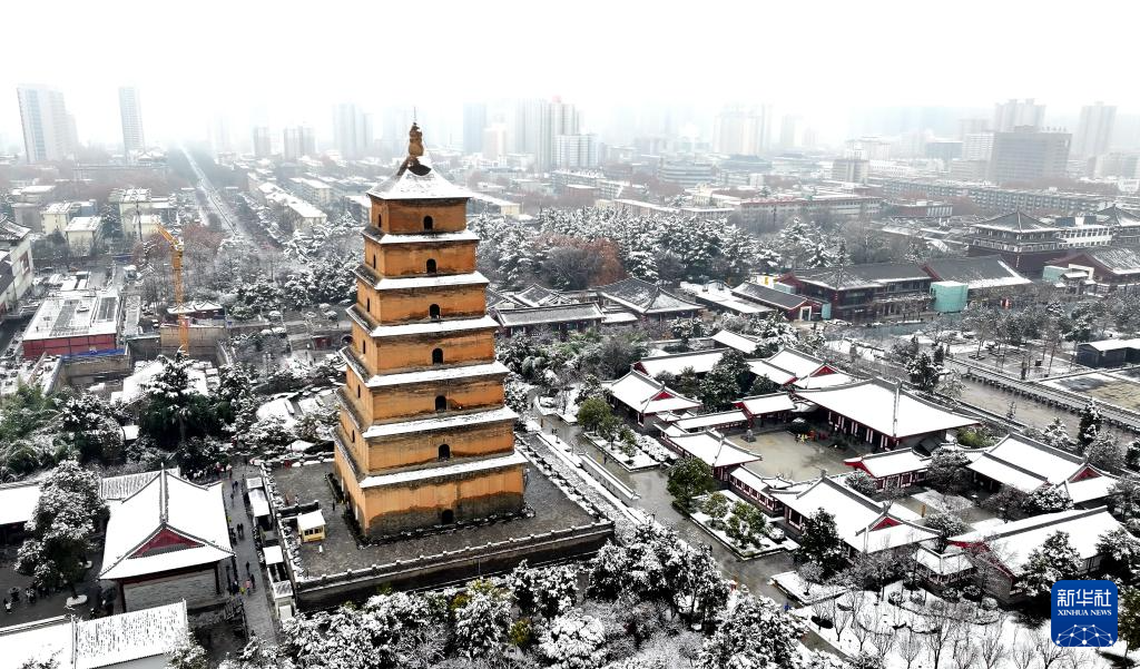 西安：大雁塔下千树白