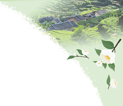 农业文化遗产系统呈现中国茶发展演变的完整风貌