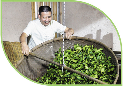 农业文化遗产系统呈现中国茶发展演变的完整风貌