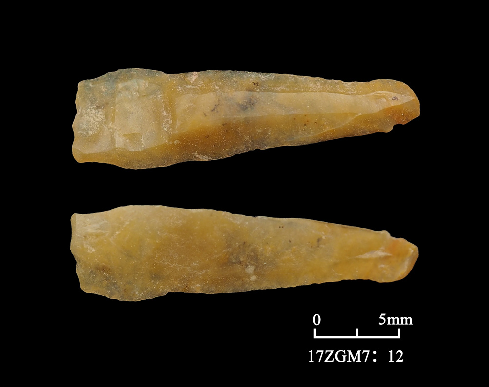西藏4项重要考古成果公布 填补青藏高原腹地史前考古学文化空白