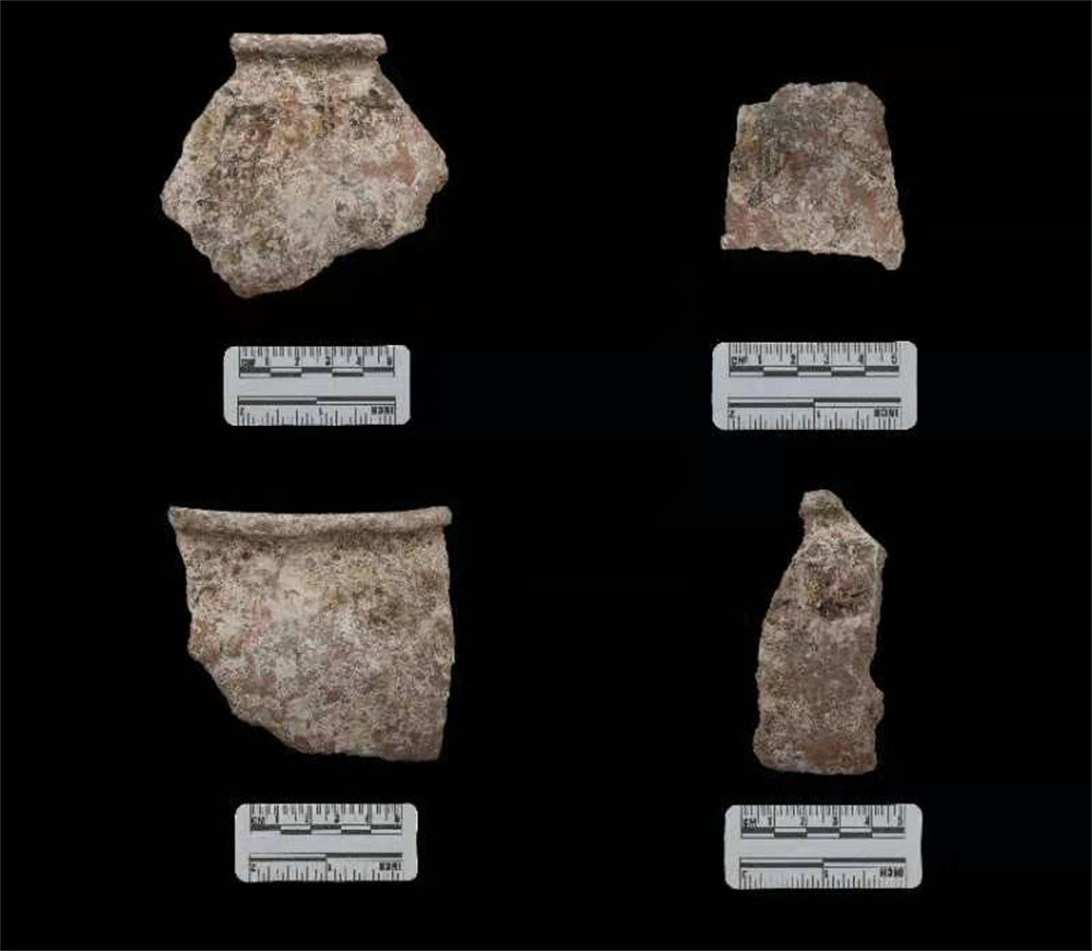 西藏4项重要考古成果公布 填补青藏高原腹地史前考古学文化空白