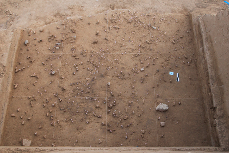 国家文物局：泥河湾发现东亚最早人类加工颜料考古遗存