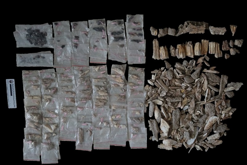 国家文物局：泥河湾发现东亚最早人类加工颜料考古遗存