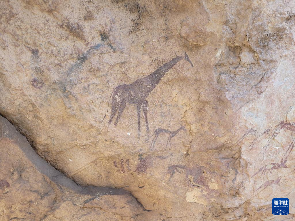 探访博茨瓦纳桑人千年岩画