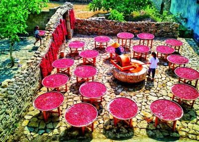 守护文化根脉 激发乡村活力