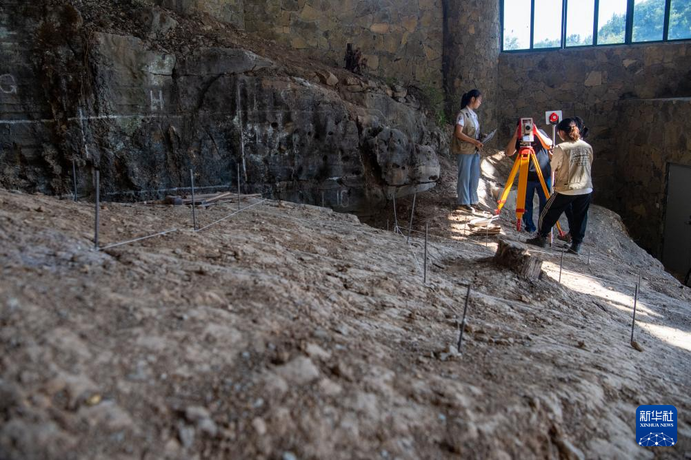 我国启动新一轮巫山龙骨坡遗址考古发掘