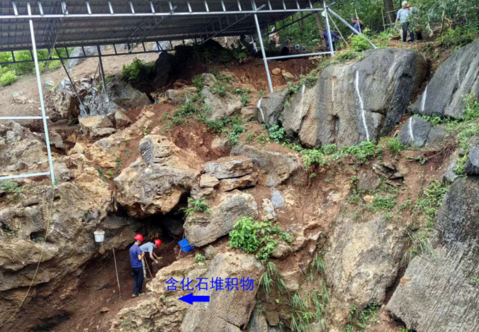 华龙洞人生活在约30万年前 东亚向智人演化的最早古人类