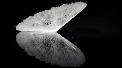 创新工艺之美——第二届全国工艺美术作品展评述