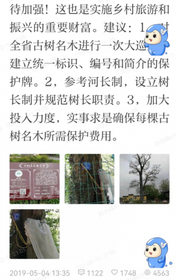 一棵古树背后的民主协商