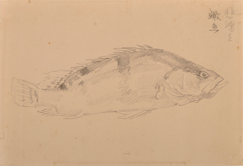 近百幅徐悲鸿素描精品将在京展出