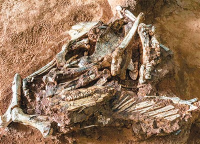 四子王国家地质公园：讲述沧海桑田的故事