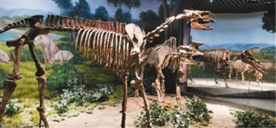 四子王国家地质公园：讲述沧海桑田的故事