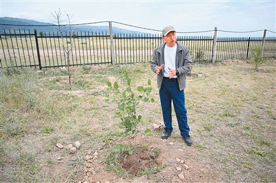 中哈联合考古见证跨越千年的文明交响