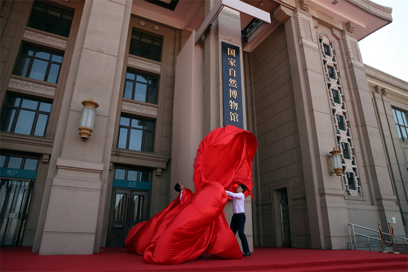 国家自然博物馆正式揭牌 现馆藏藏品37万余件