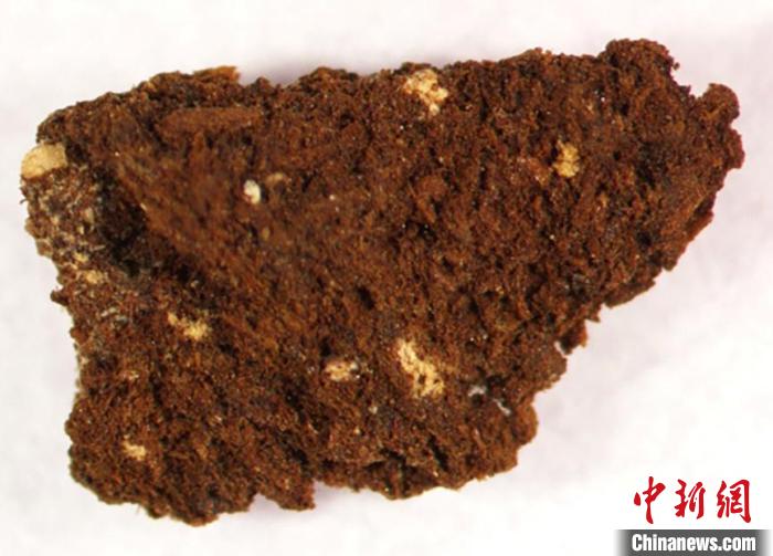 唐朝皇家梵香来自何方?中国考古团队最新研究揭开谜团